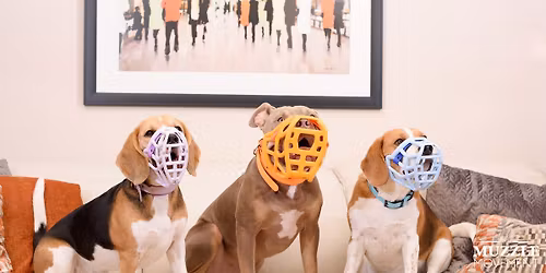 Auckland Muzzle Fitting