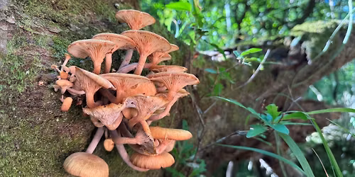 Little Worlds, Big Wonders