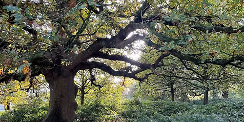 GeoAdventures \u2018fieldtrip for adults': Waterloo Tower and Scalpcliffe Woods