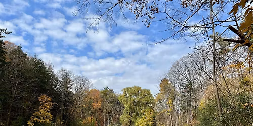 Tour: Wilket Creek Ravine