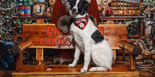 Paws & Claus for a Cause