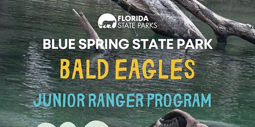 Blue Spring Junior Ranger Program "Bald Eagles"