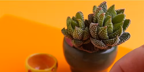 Miniature Ceramics on the Wheel - 3 evenings