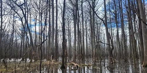 Weekly Wake-Up Hike with Ranger Demetriou (Pioneer Springs Trail)