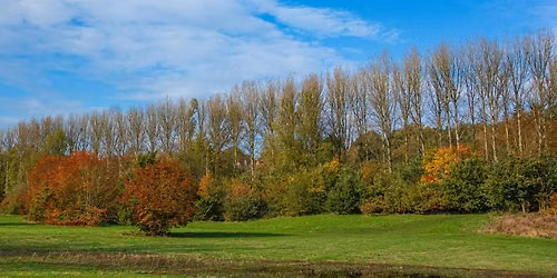 Kersal Dale Conservation Task
