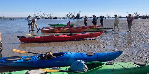 Naturalist 101: Little Tybee Paddle (Trip)