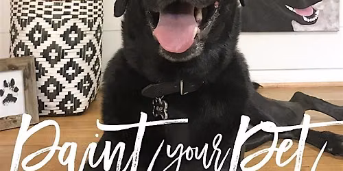 Paint Your Pet
