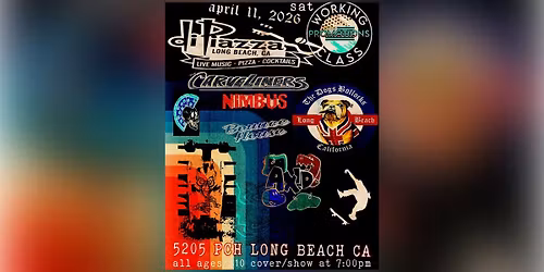 The Dogs Bullocks, Carvaliners, Nimbus, Bounce House, Axid