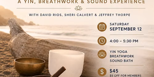 INTO STILLNESS: A Yin, Breathwork & Sound Experience