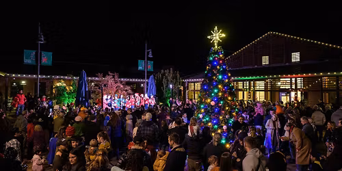 Yountville Town & Tree Lighting