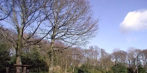 Littlemoor Park Walk: In Search of White Crows