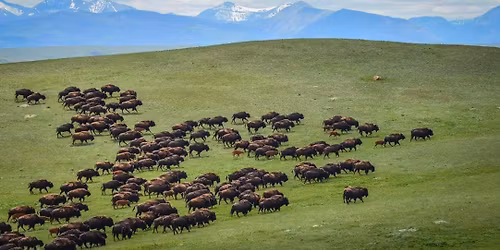 2025 ITBC Membership Meeting