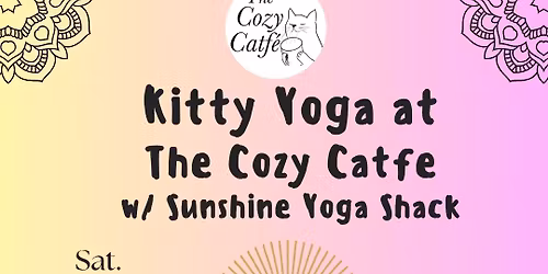 Yoga with Kitties 