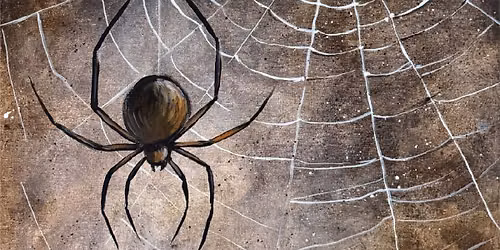Along Came A Spider Canvas Paint and Sip