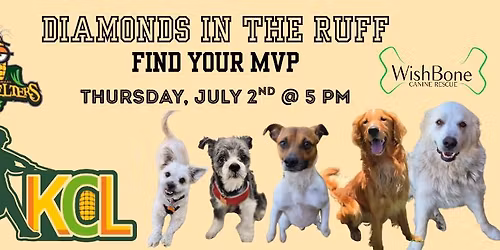 Diamonds in the Ruff: Find Your MVP