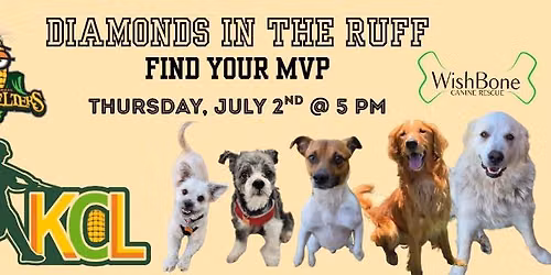 Diamonds in the Ruff: Find Your MVP