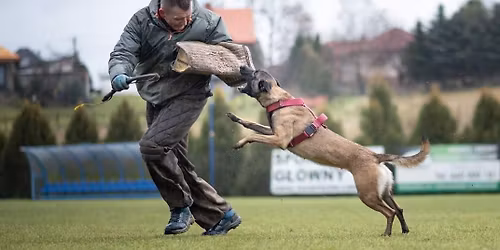 Obrona z Piotrkiem Odrobi\u0144skim