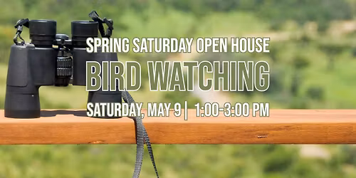 Birdwatching - Spring Saturday