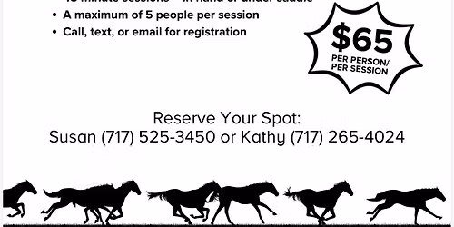 Trail Obstacle Clinic 