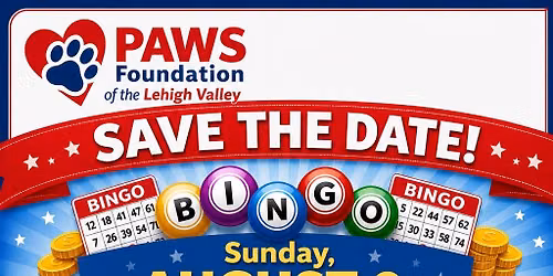 Bingo Fundraiser 