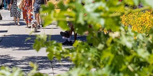 San Francisco Bay Area - Oxbow Public Market Paint\/Sculpt-Out and Art Sale