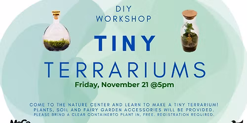 DIY Tiny Terrariums