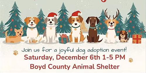 Home for the Paw-lidays