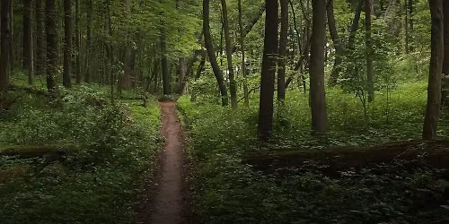 2026 Badlands 50K\/100K