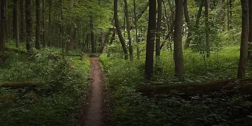 2026 Badlands 50K\/100K