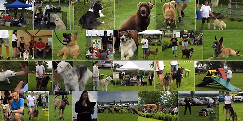 3. Ny\u00e1rk\u00f6sz\u00f6nt\u0151 kuty\u00e1s csal\u00e1di fesztiv\u00e1l