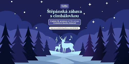 \u0160t\u011bp\u00e1nsk\u00e1 z\u00e1bava s cimb\u00e1lovkou \ud83c\udfbb\ud83c\udf84\u2744\ufe0f