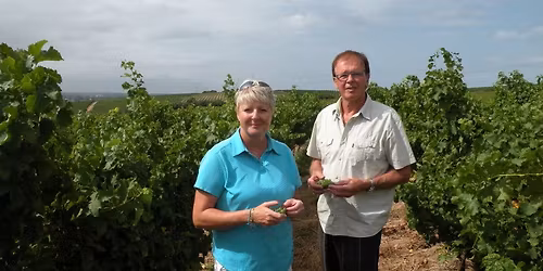 Sydafrika i Glaset \u2013 En smakresa del 2  