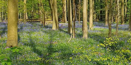 Rando d\u00e9couverte \u00e0 Monstreux