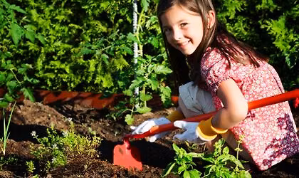 Urban Farm Daydreamer's Club