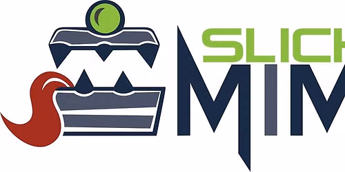 Slick Mimics Card & Board Games