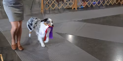 August Summer Swelter!