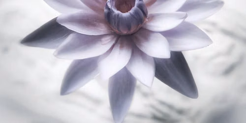 Relax & Restore - A meditation & healing experience 