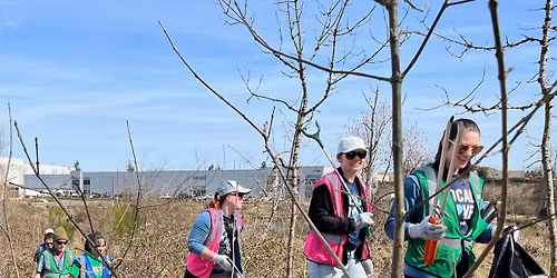 Cleanup at Bird Alliance of Oregon\u2019s NE 82nd Ave Property