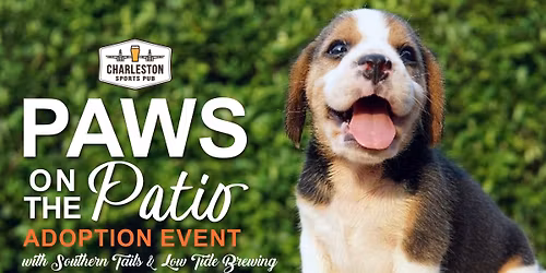 Paws on the Patio Adoption Event with Southern Tails & Low Tide Brewing