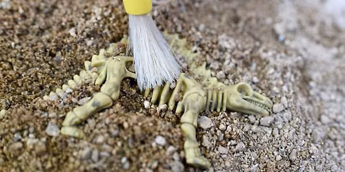 Itty Bitty STEAM - Digging Up Bones