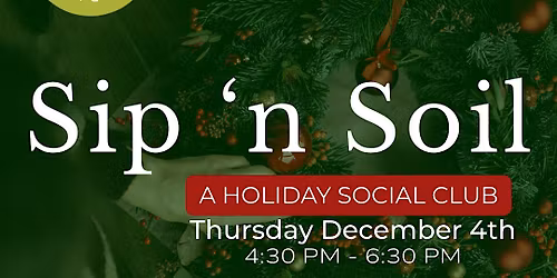 Sip 'N Soil | Holiday Centerpiece