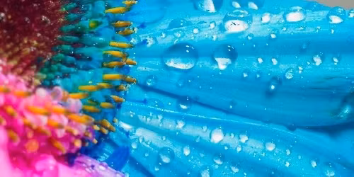 Wonderful Wednesdays - Jan 7-Apr 1 - REGISTER TODAY!