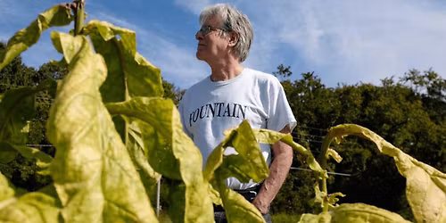 Before Reno: Langston Hughes Blends Politics and Art