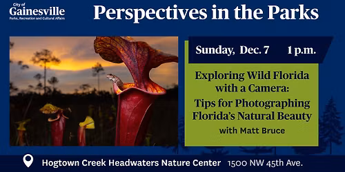 Exploring Wild Florida with a Camera: Tips for Photographing Florida\u2019s Natural Beauty