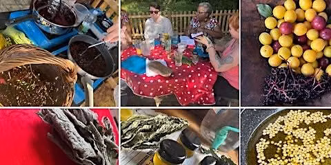 Herbal Medicine Course (Family friendly)