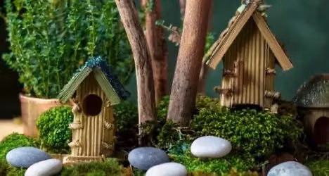 Fairy Gardens