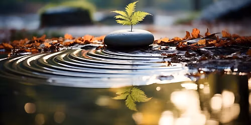 Understanding Anxiety - How to Soothe the Busy Brain