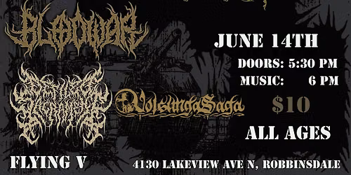 Pursuit, Sustenance, Blodwar, Defiled Sacrament, VolsungaSaga at Flying V