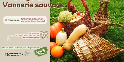 Stage de vannerie sauvage : cr\u00e9er son panier en escalier