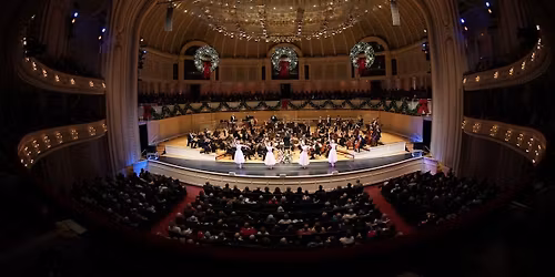 Parking Salute To Vienna - San Diego